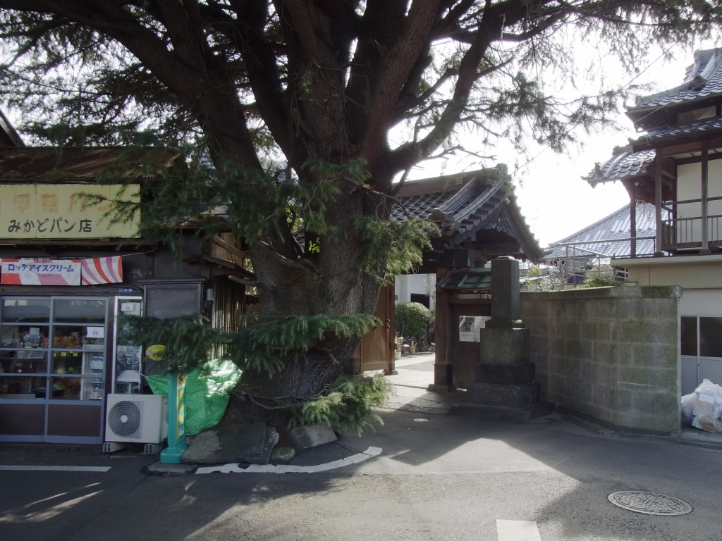 The Hidden/Local Sites and Off-the-beaten tracks in Tokyo [Yanaka, Nezu Shrine, Kagurazaka] - Click Image to Close