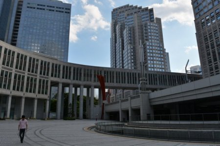 Su Primer Dia En Tokio 8 Horas: Excursión De La Orientación [La Plaza Imperial , Meiji-Jingu, Harajuku, La Plataforma de Observación de Edificio del Gobierno Metropolitano de Tokio]