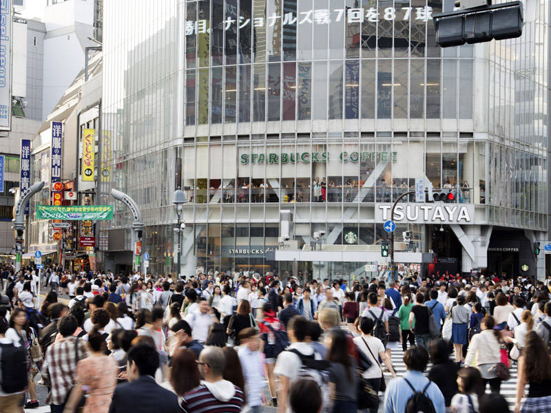 Presentando Tokio 6 Horas- La Zona Oeste de Tokio [Meiji-Jingu,Harajuku, Shibuya, La Plataforma De Observación de Edificio del Gobierno Metropolitano de Tokio] - Click Image to Close