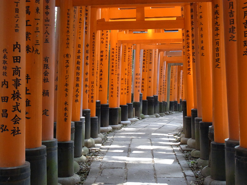 Un Día Entero En Kioto: 8 Horas [Kinkaku-Ji, Fushimi- Inari, Kiyomizu-Dera, Gion] - Click Image to Close